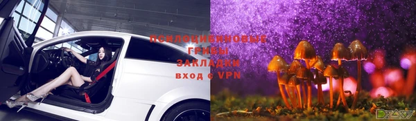 спиды Белоозёрский